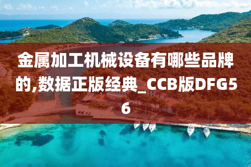 金属加工机械设备有哪些品牌的,数据正版经典_CCB版DFG56