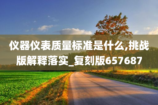 仪器仪表质量标准是什么,挑战版解释落实_复刻版657687