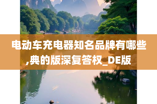 电动车充电器知名品牌有哪些,典的版深复答权_DE版