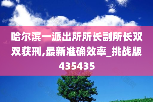 哈尔滨一派出所所长副所长双双获刑,最新准确效率_挑战版435435