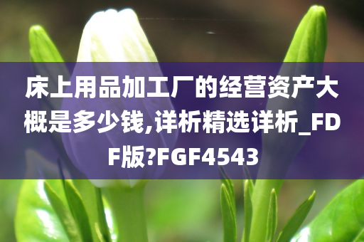 床上用品加工厂的经营资产大概是多少钱,详析精选详析_FDF版?FGF4543