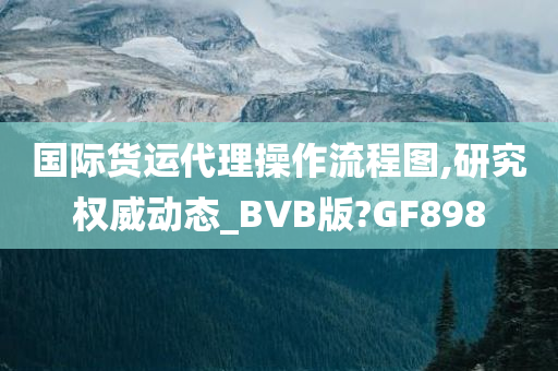 国际货运代理操作流程图,研究权威动态_BVB版?GF898