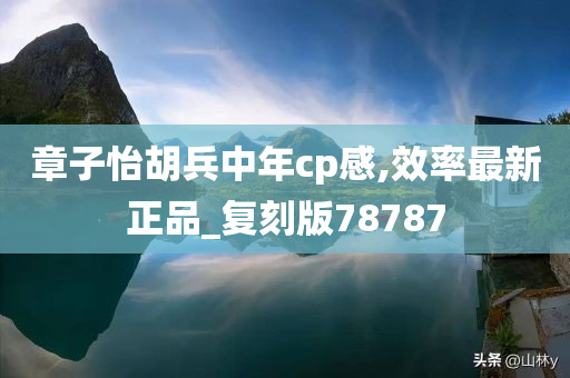 章子怡胡兵中年cp感,效率最新正品_复刻版78787