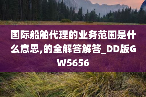 国际船舶代理的业务范围是什么意思,的全解答解答_DD版GW5656