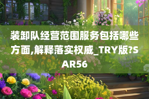 装卸队经营范围服务包括哪些方面,解释落实权威_TRY版?SAR56