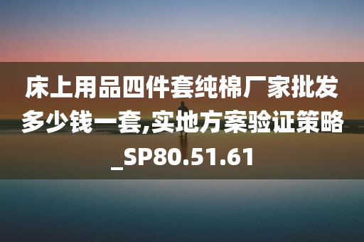 床上用品四件套纯棉厂家批发多少钱一套,实地方案验证策略_SP80.51.61