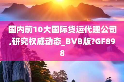 国内前10大国际货运代理公司,研究权威动态_BVB版?GF898