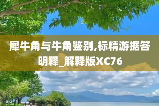 犀牛角与牛角鉴别,标精游据答明释_解释版XC76