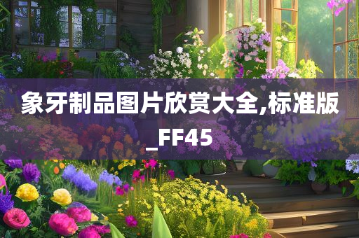 象牙制品图片欣赏大全,标准版_FF45