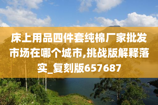 床上用品四件套纯棉厂家批发市场在哪个城市,挑战版解释落实_复刻版657687