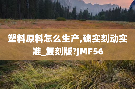 塑料原料怎么生产,确实刻动实准_复刻版?JMF56