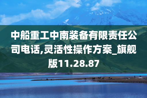 中船重工中南装备有限责任公司电话,灵活性操作方案_旗舰版11.28.87