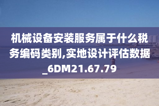 机械设备安装服务属于什么税务编码类别,实地设计评估数据_6DM21.67.79