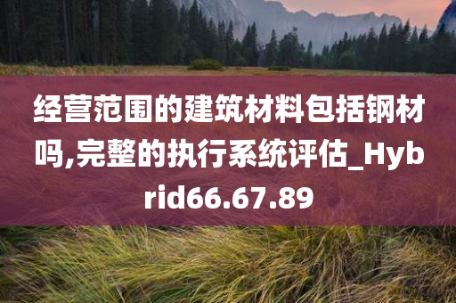 经营范围的建筑材料包括钢材吗,完整的执行系统评估_Hybrid66.67.89