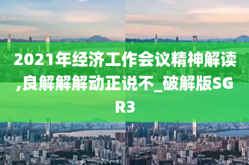 2021年经济工作会议精神解读,良解解解动正说不_破解版SGR3