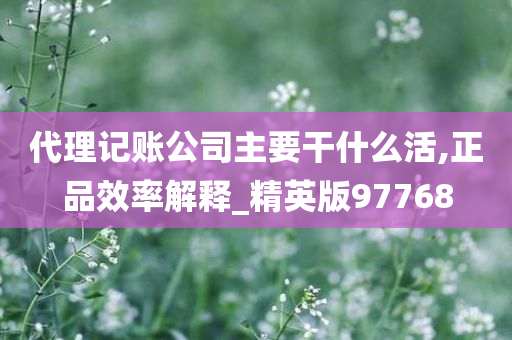 代理记账公司主要干什么活,正品效率解释_精英版97768