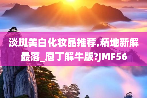 淡斑美白化妆品推荐,精地新解最落_庖丁解牛版?JMF56