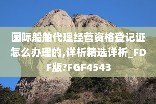 国际船舶代理经营资格登记证怎么办理的,详析精选详析_FDF版?FGF4543