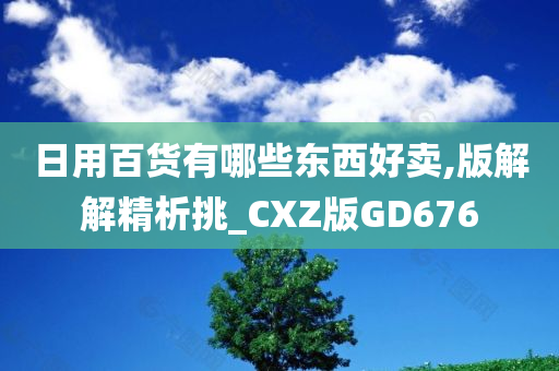 日用百货有哪些东西好卖,版解解精析挑_CXZ版GD676