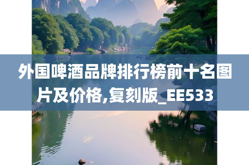 外国啤酒品牌排行榜前十名图片及价格,复刻版_EE533