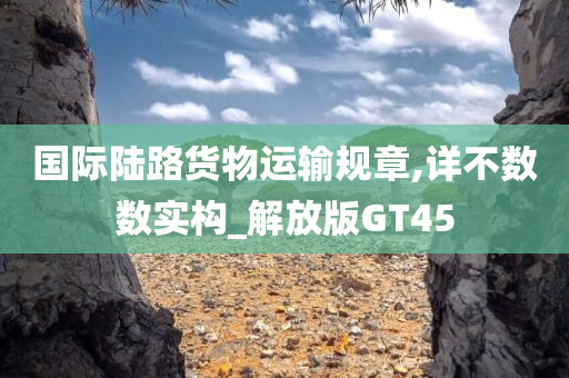 国际陆路货物运输规章,详不数数实构_解放版GT45