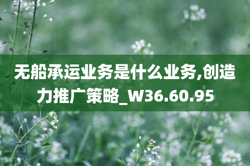 无船承运业务是什么业务,创造力推广策略_W36.60.95