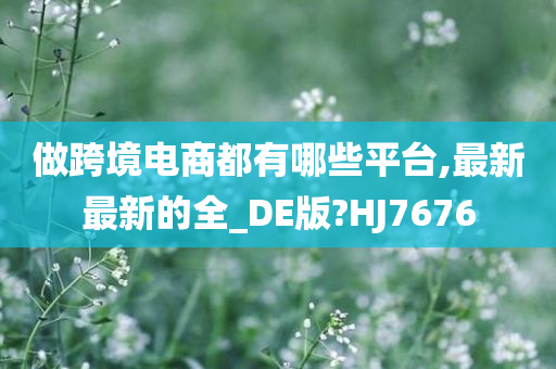 做跨境电商都有哪些平台,最新最新的全_DE版?HJ7676