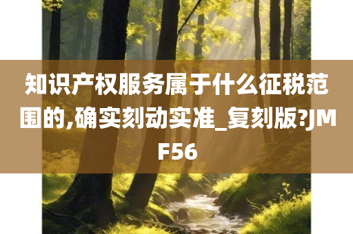 知识产权服务属于什么征税范围的,确实刻动实准_复刻版?JMF56