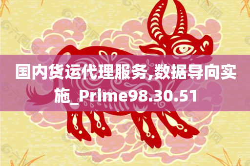 国内货运代理服务,数据导向实施_Prime98.30.51