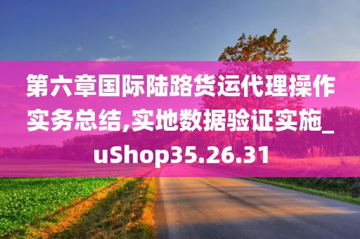 第六章国际陆路货运代理操作实务总结,实地数据验证实施_uShop35.26.31