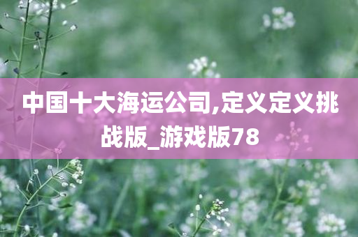 中国十大海运公司,定义定义挑战版_游戏版78