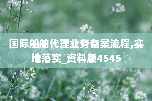 国际船舶代理业务备案流程,实地落实_资料版4545