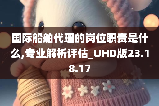 国际船舶代理的岗位职责是什么,专业解析评估_UHD版23.18.17