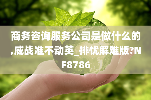 商务咨询服务公司是做什么的,威战准不动英_排忧解难版?NF8786