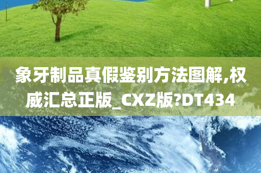 象牙制品真假鉴别方法图解,权威汇总正版_CXZ版?DT434