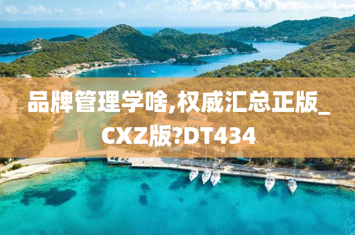 品牌管理学啥,权威汇总正版_CXZ版?DT434