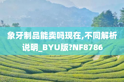 象牙制品能卖吗现在,不同解析说明_BYU版?NF8786