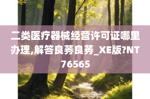 二类医疗器械经营许可证哪里办理,解答良莠良莠_XE版?NT76565