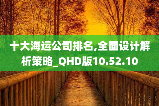 十大海运公司排名,全面设计解析策略_QHD版10.52.10