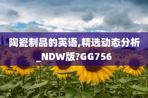 陶瓷制品的英语,精选动态分析_NDW版?GG756