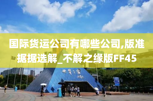 国际货运公司有哪些公司,版准据据选解_不解之缘版FF45