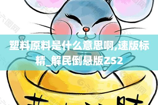 塑料原料是什么意思啊,速版标精_解民倒悬版ZS2