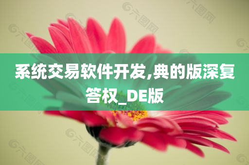 系统交易软件开发,典的版深复答权_DE版