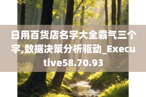 日用百货店名字大全霸气三个字,数据决策分析驱动_Executive58.70.93