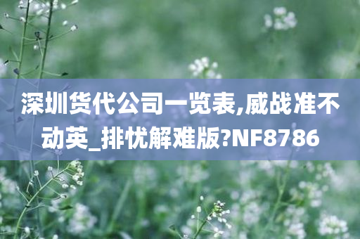 深圳货代公司一览表,威战准不动英_排忧解难版?NF8786