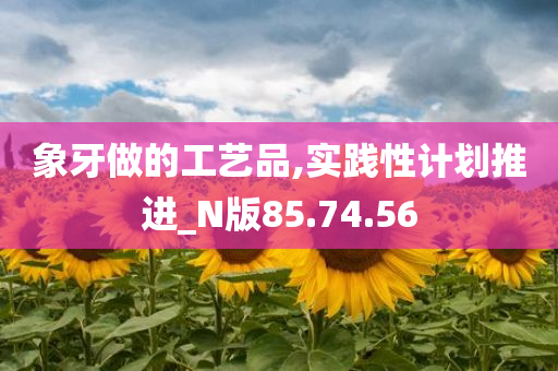 象牙做的工艺品,实践性计划推进_N版85.74.56