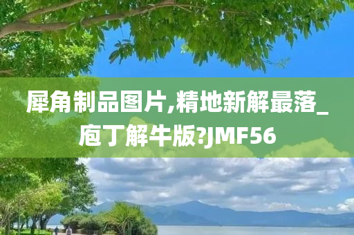 犀角制品图片,精地新解最落_庖丁解牛版?JMF56