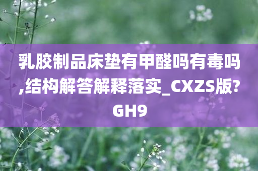 乳胶制品床垫有甲醛吗有毒吗,结构解答解释落实_CXZS版?GH9