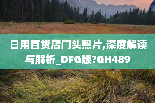 日用百货店门头照片,深度解读与解析_DFG版?GH489