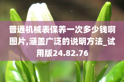 普通机械表保养一次多少钱啊图片,涵盖广泛的说明方法_试用版24.82.76